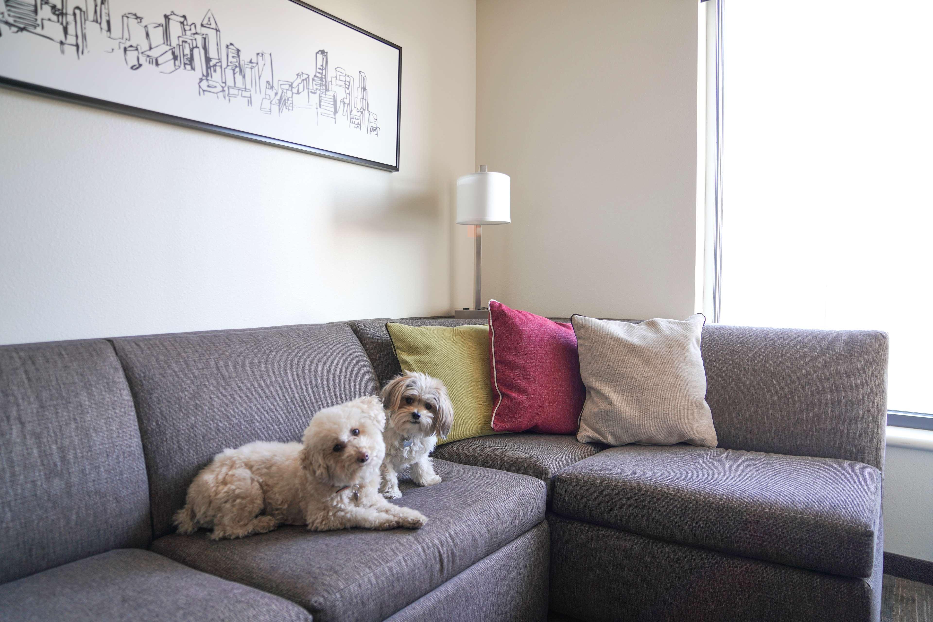 Hyatt House Denver/Downtown Dış mekan fotoğraf